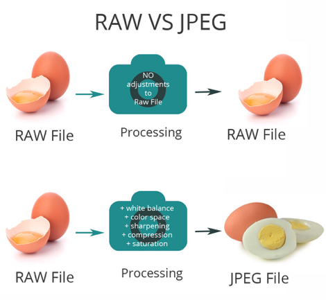Image showing how a JPEG files converts using eggs as an example