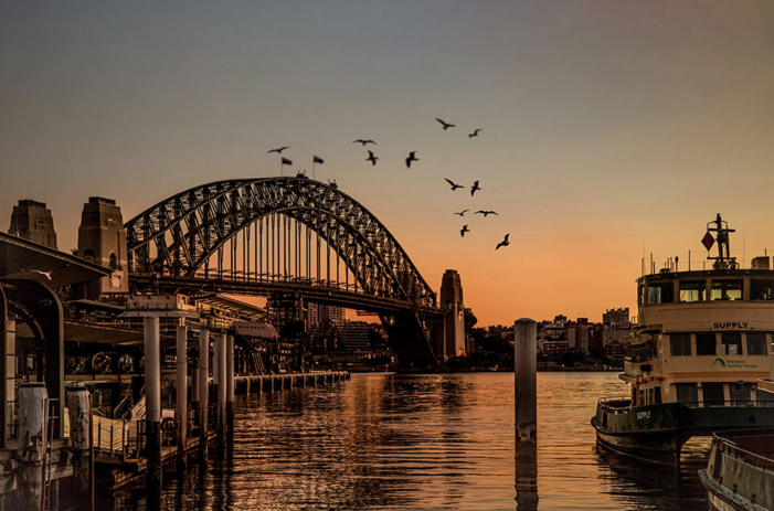 Gina's shot of the Sydney Harbour Bridge showing a balance between the bridge on the left and the ferry on the right. Bridge is the hero of the shot.