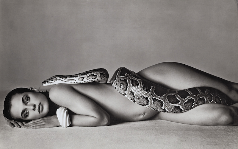 Above: Image of Nastassja Kinski and snake by Richard Avedon