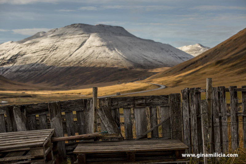 Gate looking out onto a snow covered mountain North Coast, Iceland