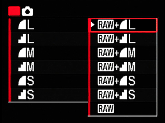 How to switch back to RAW