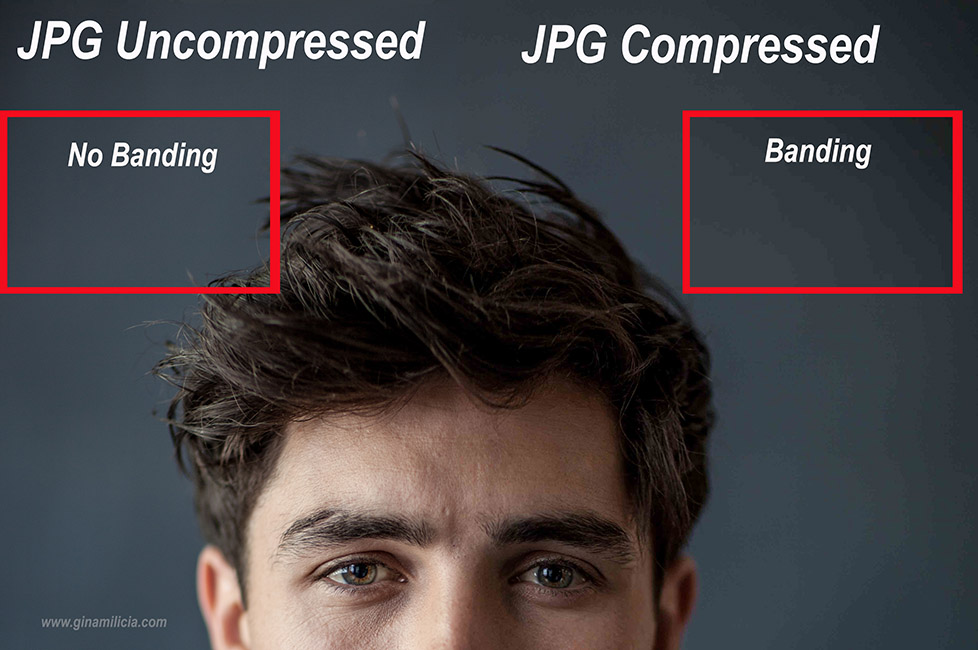 comparison of a jpg compressed and uncompressed file