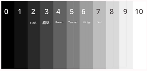 how the camera reads skin tones