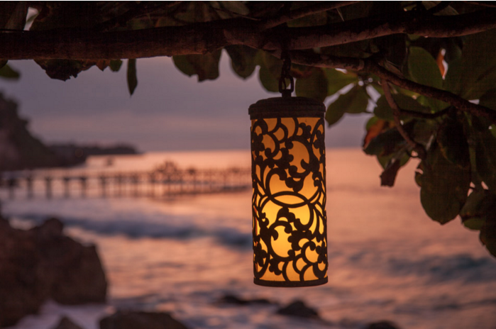 A delicate lantern hanging from a tree branch with the ocean in the background demonstrating how to frame an image