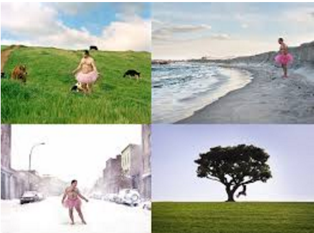 image set of a guy in a tutu in various landscapes
